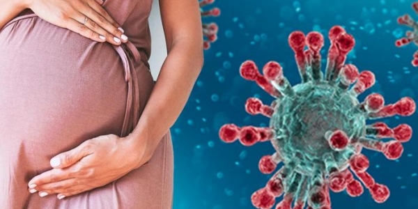 Беременные женщины стали чаще болеть коронавирусом