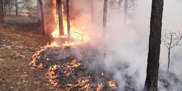 В республике действует 15 природных пожаров