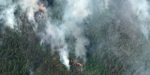 В Якутии действуют 5 лесных пожаров