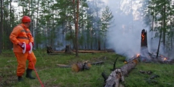 Почти тысяча человек тушит лесные пожары в Вилюйской группе районов