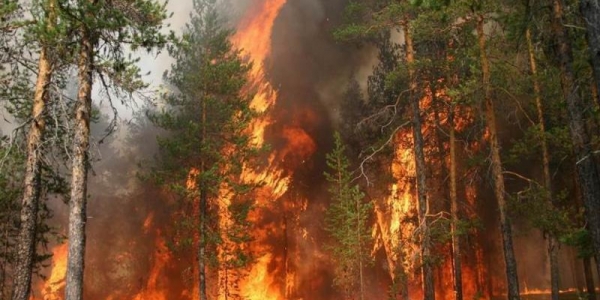 В Якутии введен режим чрезвычайной ситуации из-за лесных пожаров