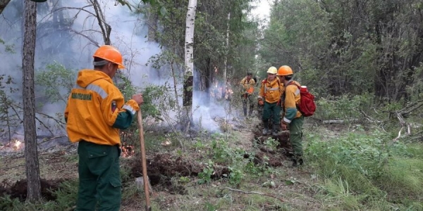 В Якутии тушат 103 лесных пожара