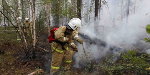 22 лесных пожара тушат в десяти районах Якутии