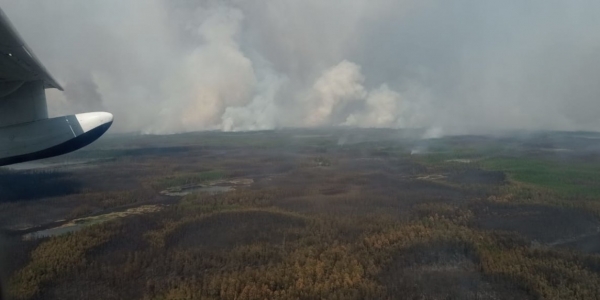 В Якутии действуют 127 лесных пожаров, за сутки ликвидировано 11