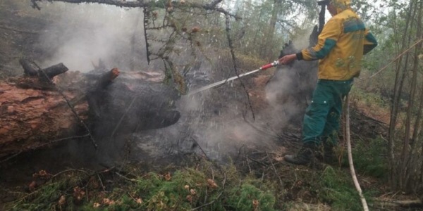 В Якутии действуют 159 природных пожаров, за сутки ликвидировано 14