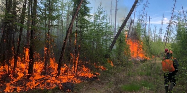  51 природный пожар действует в Якутии