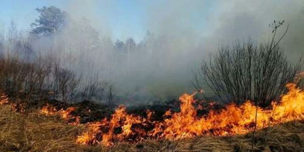 В Якутии за сутки тушат 9 лесных пожаров