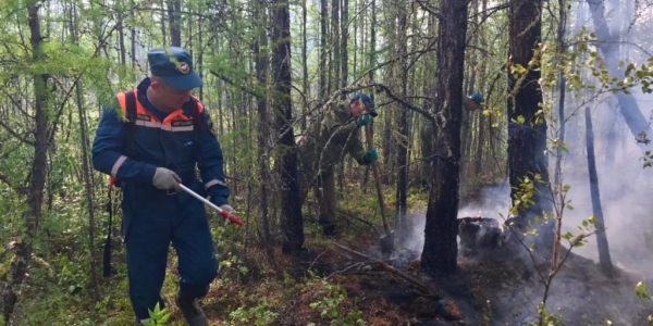 В Якутии действуют 314 лесных пожаров, за сутки ликвидировано 46