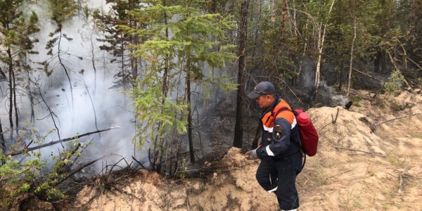 В Якутии действует 126 природных пожаров, за сутки ликвидировано 11