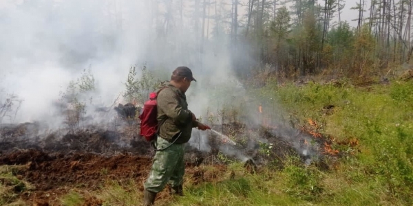 В Якутии действует 271 природный пожар, за сутки ликвидировано 14