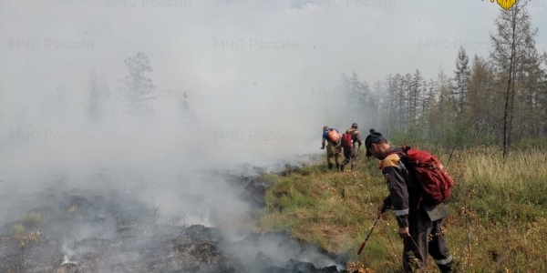 В Якутии действуют 154 природных пожаров, 45 ликвидировано за сутки