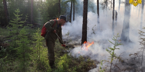 На территории Якутии действуют 308 природных пожаров, за сутки ликвидировано 18
