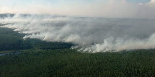 313 лесных пожаров действуют на территории 13 районов Якутии