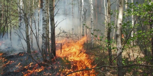 О ситуации с лесными пожарами в Намском, Кобяйском, Горном улусах Якутии