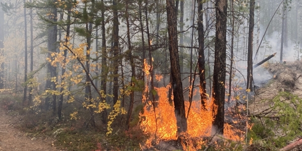В 12 районах Якутии сохраняется сложная лесопожарная обстановка