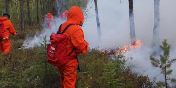 Лесной пожар удалось удержать на границе Якутска