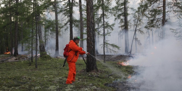 Мэрия Якутска: дополнительные силы на тушение пожара на границе города пока не нужны