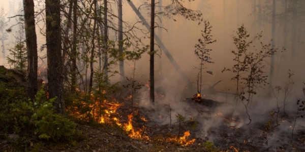 Первый день за лето, когда в Якутии лесной пожар не угрожает селам