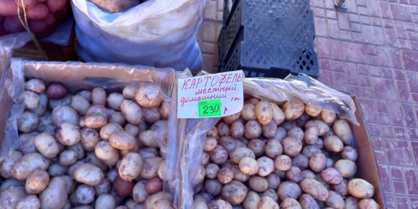 Фотофакт: килограмм картофеля в Якутске стоит 230 рублей