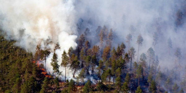 В Якутии за сутки локализовано 11 пожаров, действует 163
