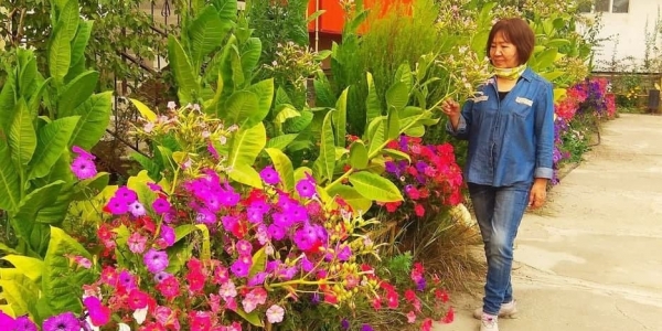 Жители дома на Жорницкого Якутска выиграли в конкурсе «Миллион цветов»