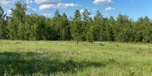2200 земельных участков подготовят и выделят многодетным семьям в Якутске