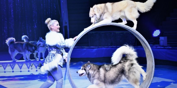 Всемирный день цирка отпразднуют в Якутске