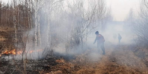 За умышленный поджог леса «светит» до 10 лет лишения свободы