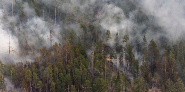 В Якутии сегодня действует один лесной пожар
