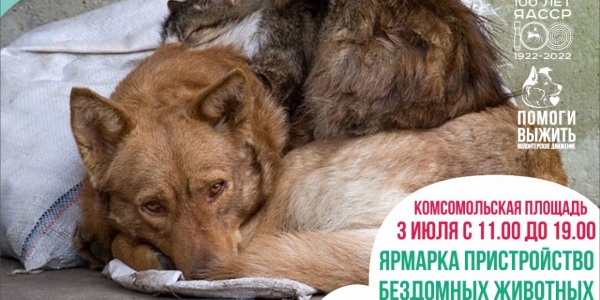 В Якутске пройдет ярмарка по пристройству бездомных животных