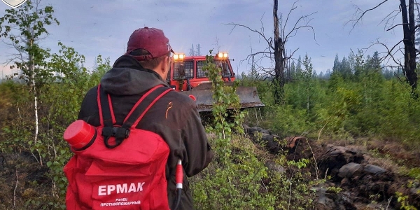 Лесной пожар ликвидирован на территории города Якутска