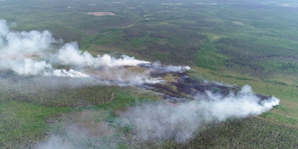 На территории Маганского лесничества был обнаружен лесной пожар
