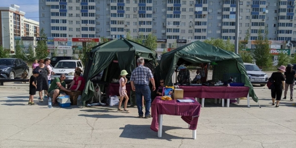 В Якутске провели ярмарку-пристройство бездомных животных