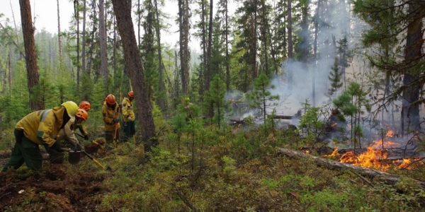 В Якутии действуют 14 лесных пожаров