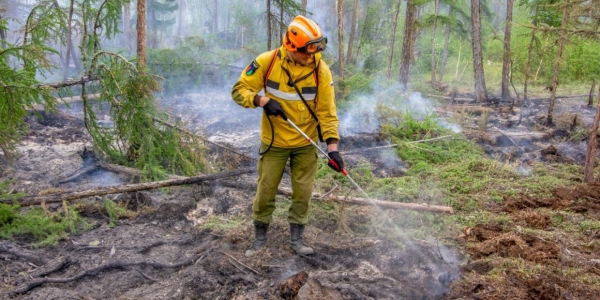 Тушить пожары в Якутии начали команды Бурятской и Забайкальской Авиалесоохраны