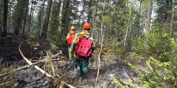 За сутки в Якутии ликвидировали 8 лесных пожаров
