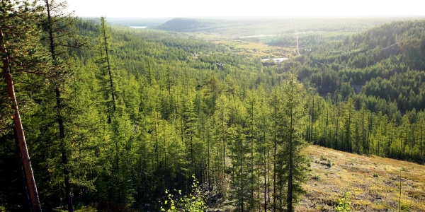 В Якутии действуют 7 лесных пожаров