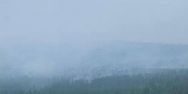 В Якутии действуют 25 лесных пожаров