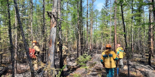 В Якутии потушили последний действовавший лесной пожар