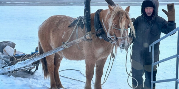 Конный дворник из Тулагино-­Кильдямцев: «Я единственный, кто ездит по посёлку на лошади»