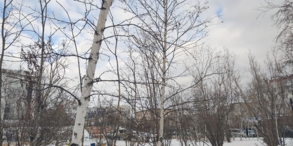 Прогноз погоды на 21 декабря в Якутске