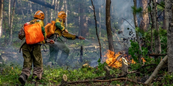 В 2023 году на охрану лесов от пожаров в Якутии будет направлено более 2,5 млрд рублей