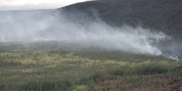 Почти 2,6 млрд рублей предусмотрено на борьбу с лесными пожарами в Якутии