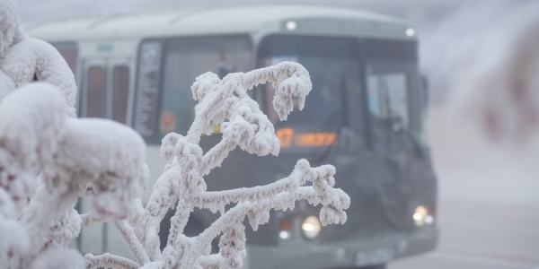 В Якутске проводится опрос горожан по работе общественного транспорта
