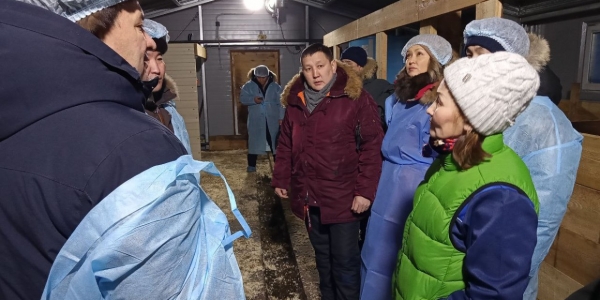 Андрей Тарасенко посетил свиноводческое хозяйство в пригороде Якутска