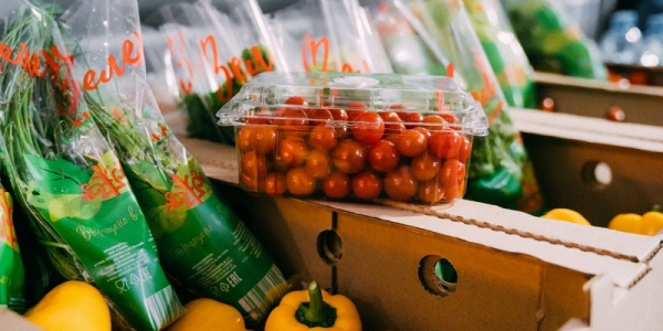Комплекс «Саюри» в этом году произвел 704 тонны овощей