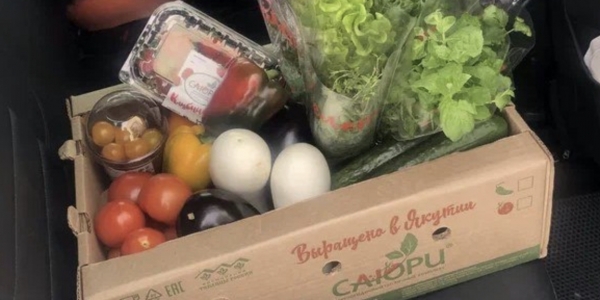«Саюри» повышает цены на свои огурцы и томаты