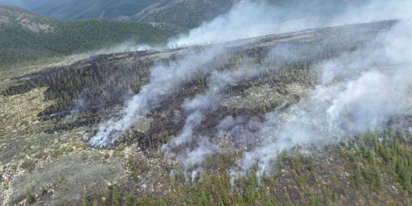 В Якутии действует 33 лесных и 2 ландшафтных пожара