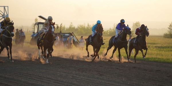 В конных скачках на призы главы города Якутска победил конь Буойун из Амгинского улуса
