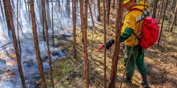 24 лесных пожара потушили огнеборцы за сутки в Якутии